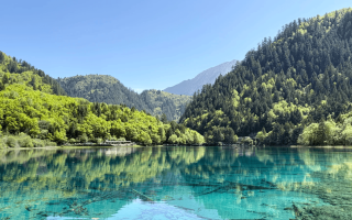 四川4天避开网红坑本地人私藏路线四川成都热门景点一次逛够